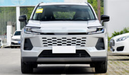 
										2026 New Toyota Wildlander full									