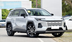 2026 New Toyota Wildlander